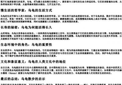 乌龟在散步的拼音.docx免费下载(word版可打印)