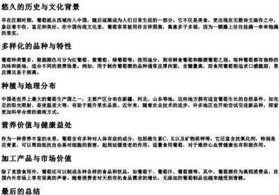 葡萄正确的拼音.docx免费下载(word版可打印)