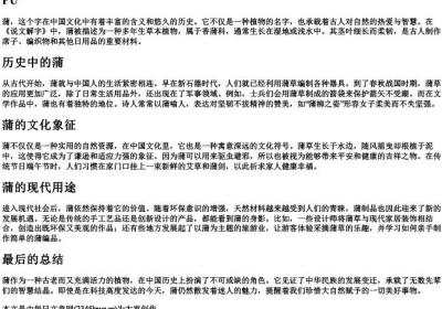 蒲的拼音大写.docx免费下载(word版可打印)