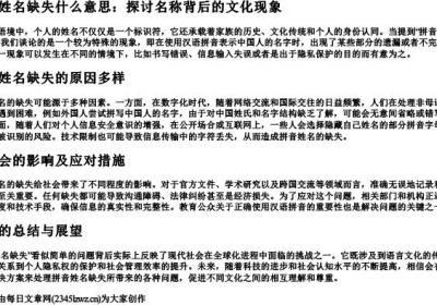 拼音姓名缺失什么意思.docx免费下载(word版可打印)