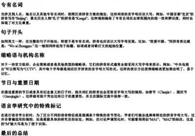 拼音需要大写情况举例子.docx免费下载(word版可打印)