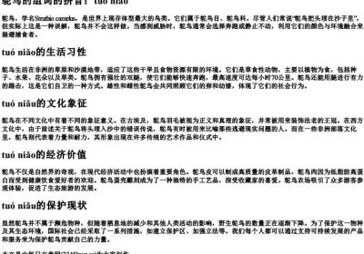 鸵鸟的组词的拼音.docx免费下载(word版可打印)