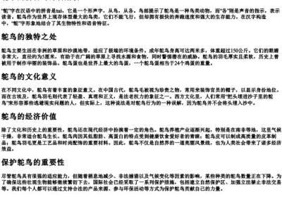 鸵组词的拼音部首.docx免费下载(word版可打印)