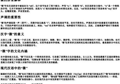 微的拼音解释.docx免费下载(word版可打印)