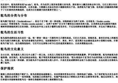鸵鸟的正确的拼音.docx免费下载(word版可打印)