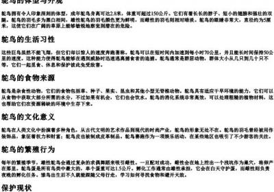 鸵鸟的拼音字母.docx免费下载(word版可打印)