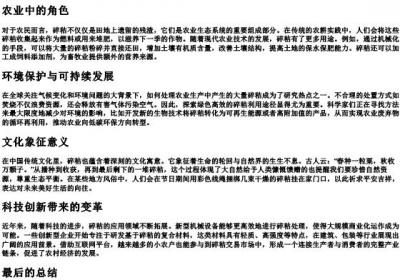 碎秸的拼音.docx免费下载(word版可打印)
