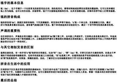 毯的拼音怎么写的拼音.docx免费下载(word版可打印)