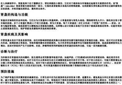 肾盏的拼音.docx免费下载(word版可打印)