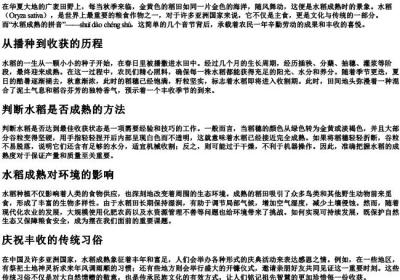水稻成熟的拼音.docx免费下载(word版可打印)