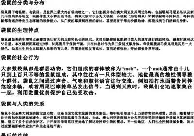 袋鼠的拼音.docx免费下载(word版可打印)