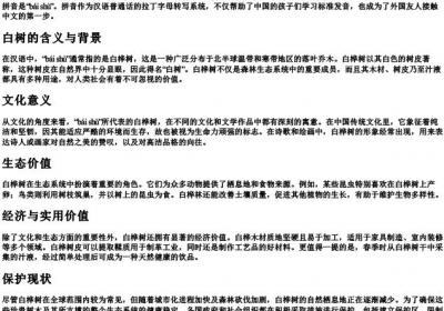 baishu的拼音.docx免费下载(word版可打印)