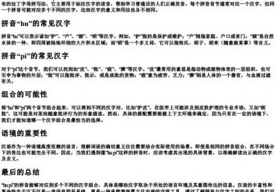 hu pi的拼音是什么汉字.docx免费下载(word版可打印)