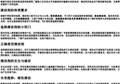 清洁剂的拼音.docx免费下载(word版可打印)