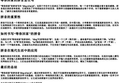 等你回家的拼音怎么写.docx免费下载(word版可打印)