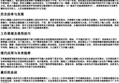 打开的拼音九键.docx免费下载(word版可打印)