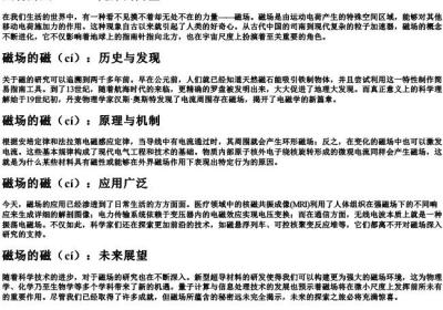 磁场的磁的拼音.docx免费下载(word版可打印)