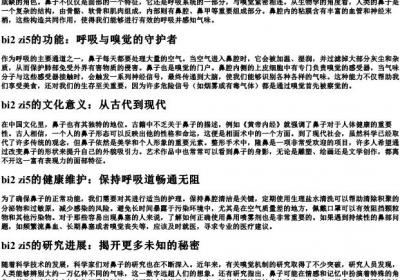 鼻子的拼音声调.docx免费下载(word版可打印)