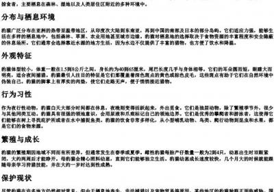 豹猫的拼音.docx免费下载(word版可打印)