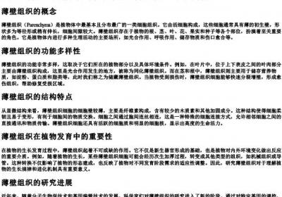 薄壁组织的拼音是什么.docx免费下载(word版可打印)