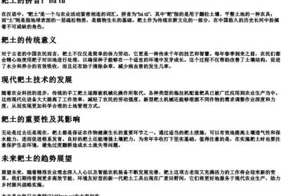 耙土的拼音.docx免费下载(word版可打印)