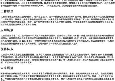 tun的拼音大写.docx免费下载(word版可打印)
