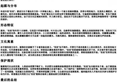 哀枚的拼音.docx免费下载(word版可打印)