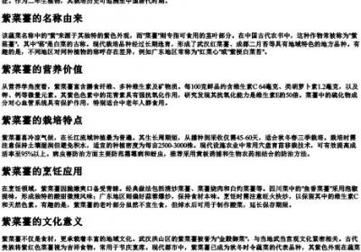 紫菜薹的拼音是什么写.docx免费下载(word版可打印)