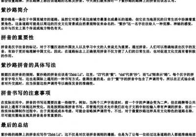 紫沙路的路牌的拼音怎么写.docx免费下载(word版可打印)