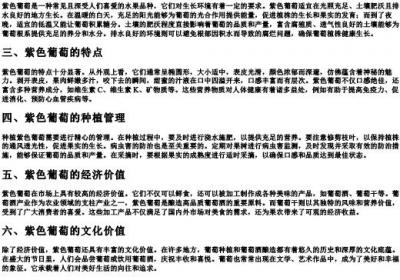 紫色葡萄挂树梢的拼音.docx免费下载(word版可打印)