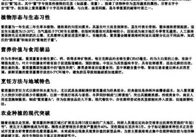 紫菜薹的拼音怎么写的.docx免费下载(word版可打印)