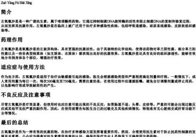 左氧氟沙星的拼音.docx免费下载(word版可打印)