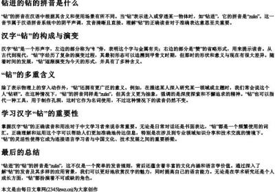 钻进的钻的拼音是什么.docx免费下载(word版可打印)