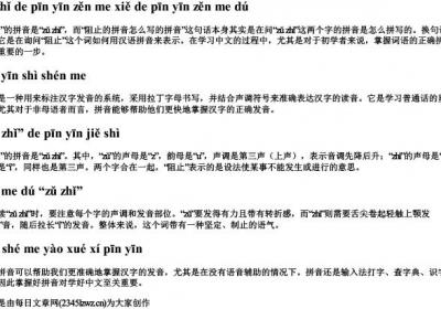 阻止的拼音怎么写的拼音怎么读.docx免费下载(word版可打印)