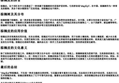 棕榈皮的拼音.docx免费下载(word版可打印)