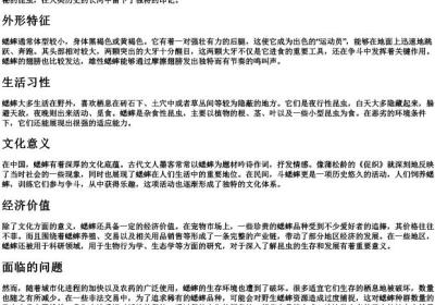 xishuai的拼音.docx免费下载(word版可打印)