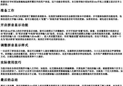 vivo手机怎么设置字上面有的拼音.docx免费下载(word版可打印)