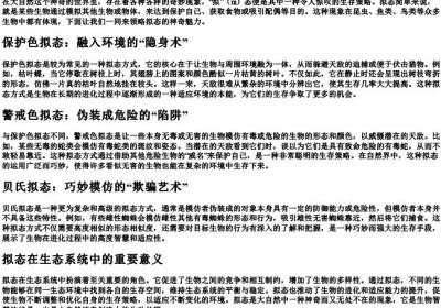 ni二声的拼音.docx免费下载(word版可打印)
