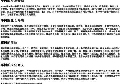 椰树的拼音.docx免费下载(word版可打印)