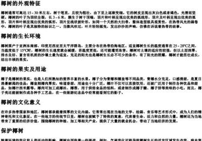 椰树的正确的拼音怎么写.docx免费下载(word版可打印)