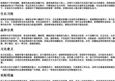 柏树 的拼音.docx免费下载(word版可打印)