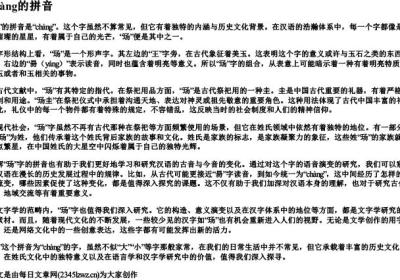 玚的拼音.docx免费下载(word版可打印)