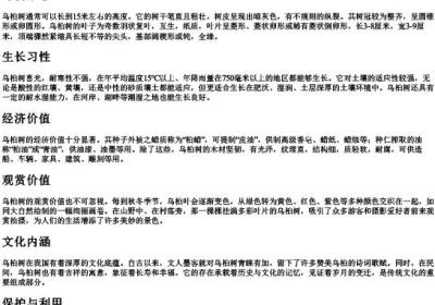 乌桕树的拼音.docx免费下载(word版可打印)