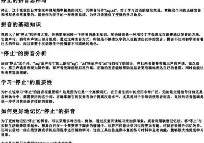 停止的拼音怎样写.docx免费下载(word版可打印)