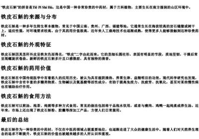 铁皮石斛什么拼音.docx免费下载(word版可打印)