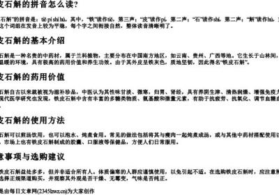 铁皮石斛的拼音怎么读？.docx免费下载(word版可打印)